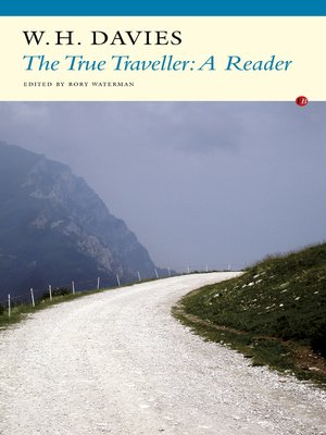 cover image of The True Traveller